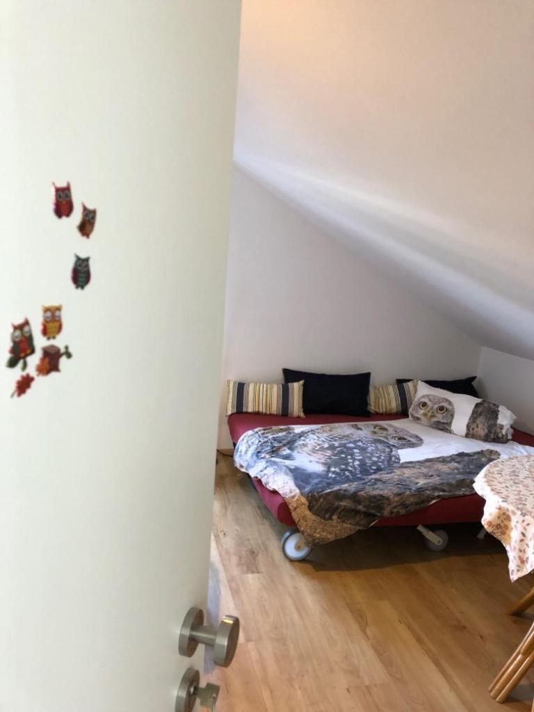 Ferienwohnung Eulennestle 伦茨基希 外观 照片