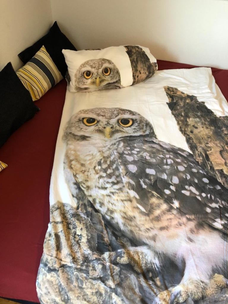 Ferienwohnung Eulennestle 伦茨基希 外观 照片